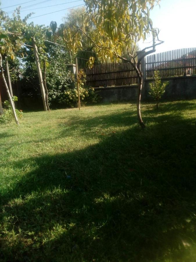 Къща За Гости Ягода Sapareva Bania Exterior foto