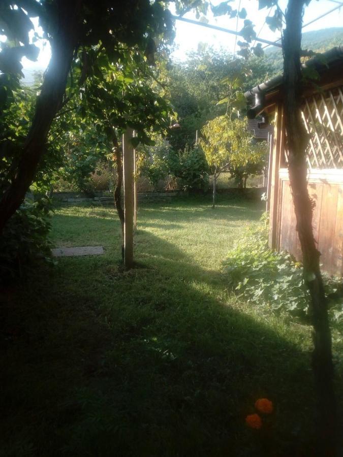 Къща За Гости Ягода Sapareva Bania Exterior foto