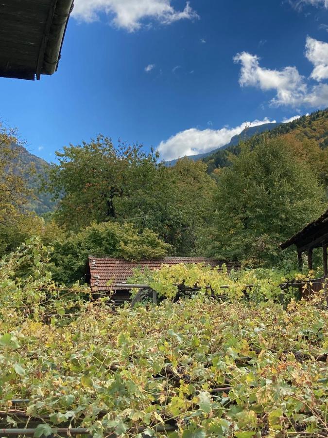 Къща За Гости Ягода Sapareva Bania Exterior foto